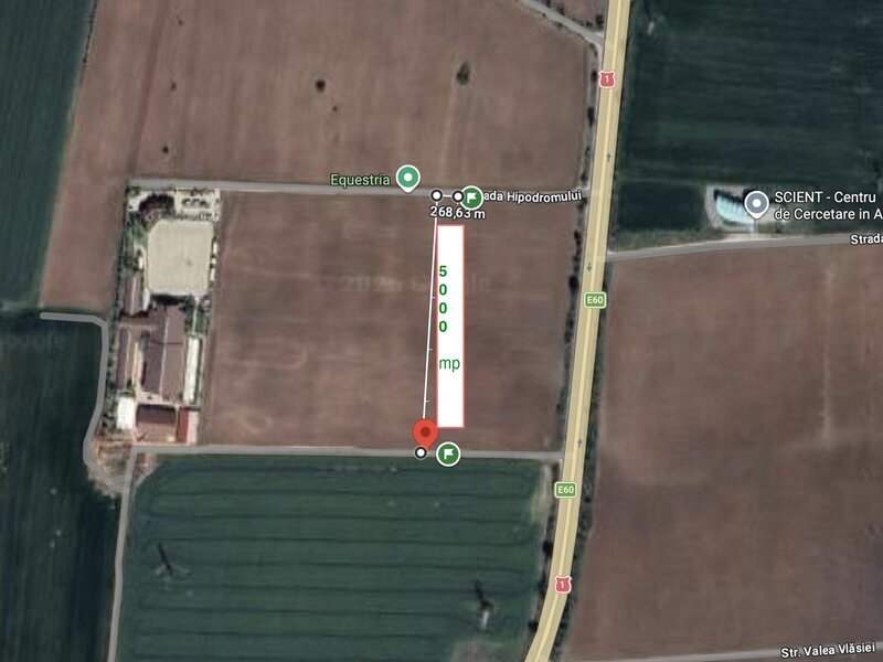 Tancabesti / Equestria, acces DN1,